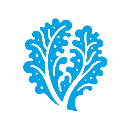 Leafy Organic Logo #00a3e4
