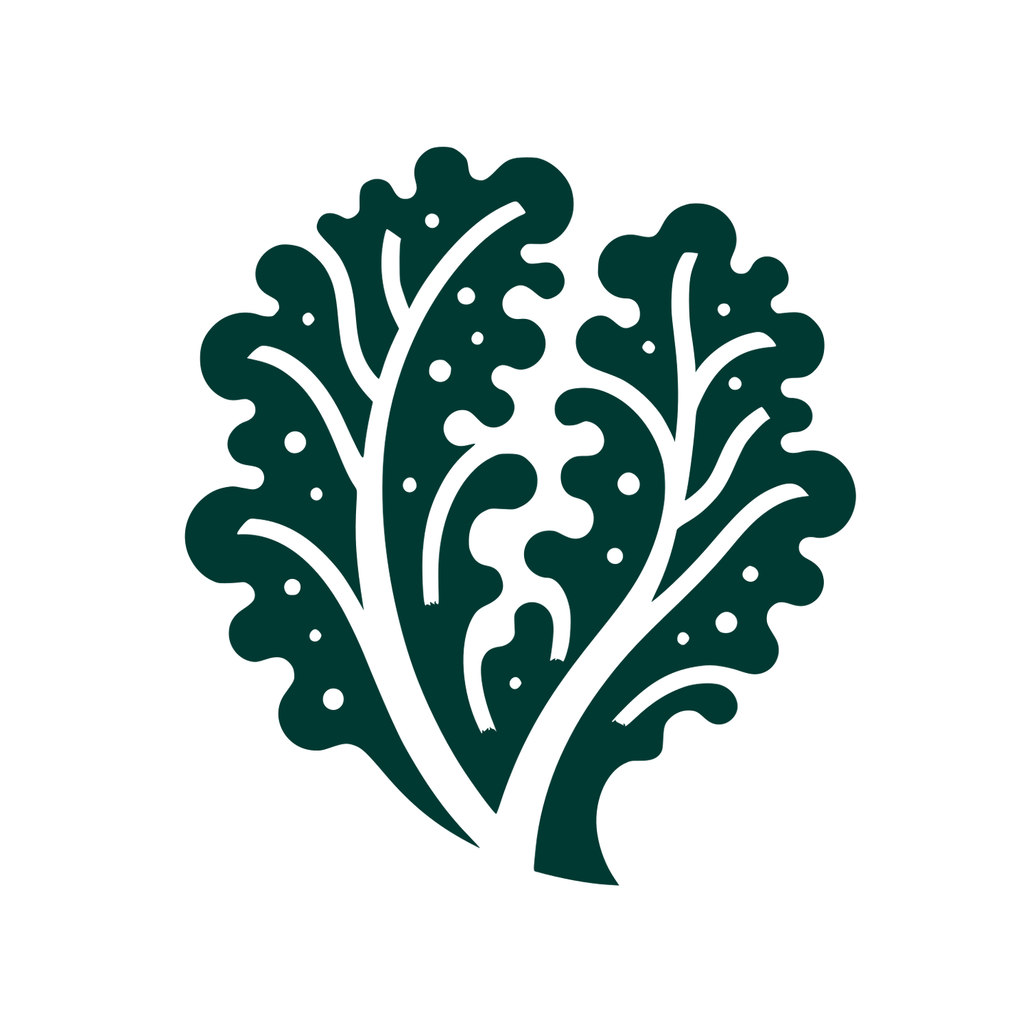 Leafy Organic Logo #003932