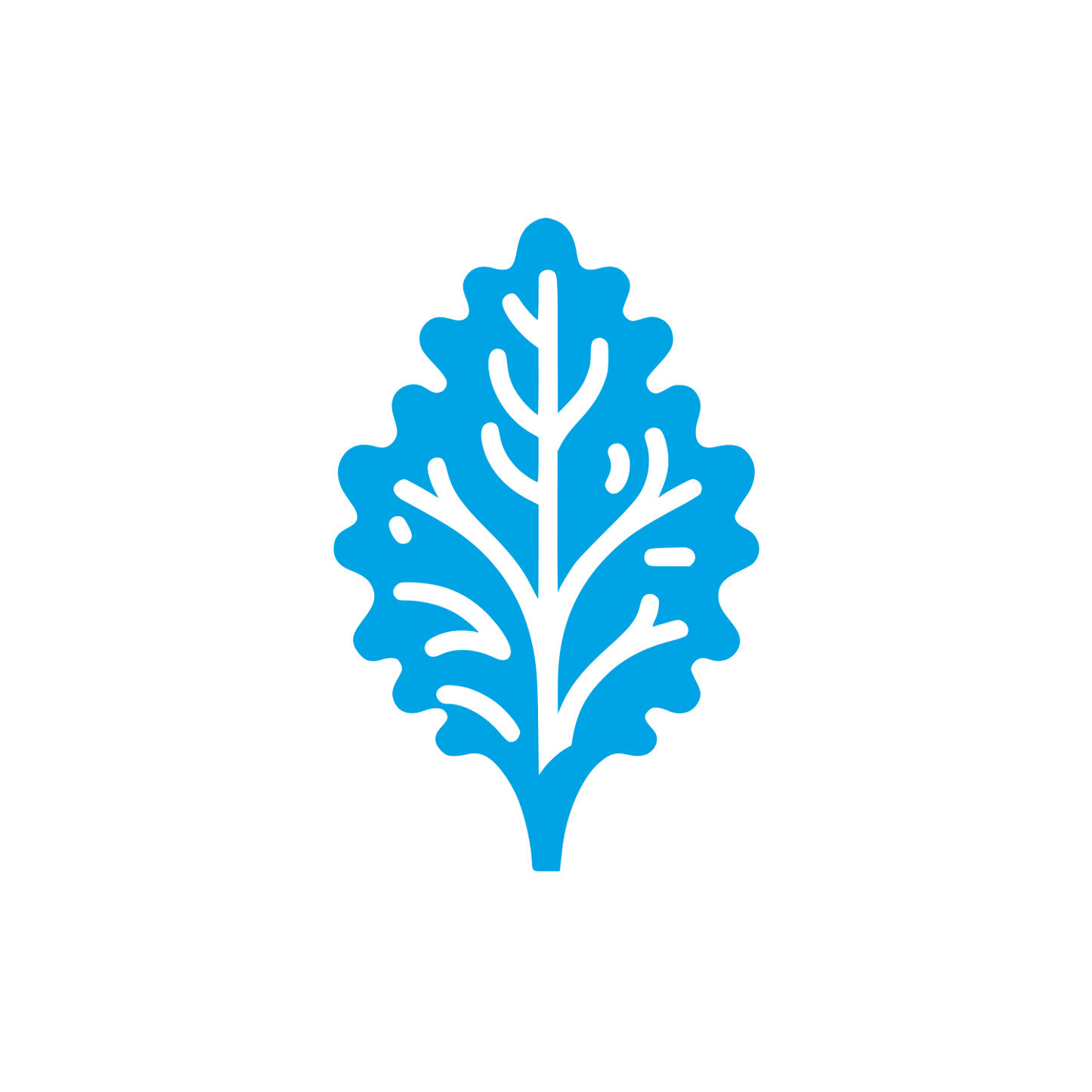 Leaf Shape Logo #00a3e4