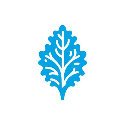 Leaf Shape Logo #00a3e4