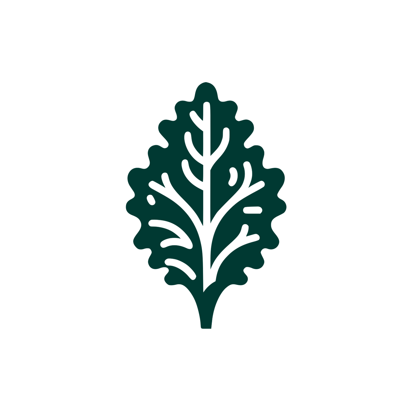 Leaf Shape Logo #003932