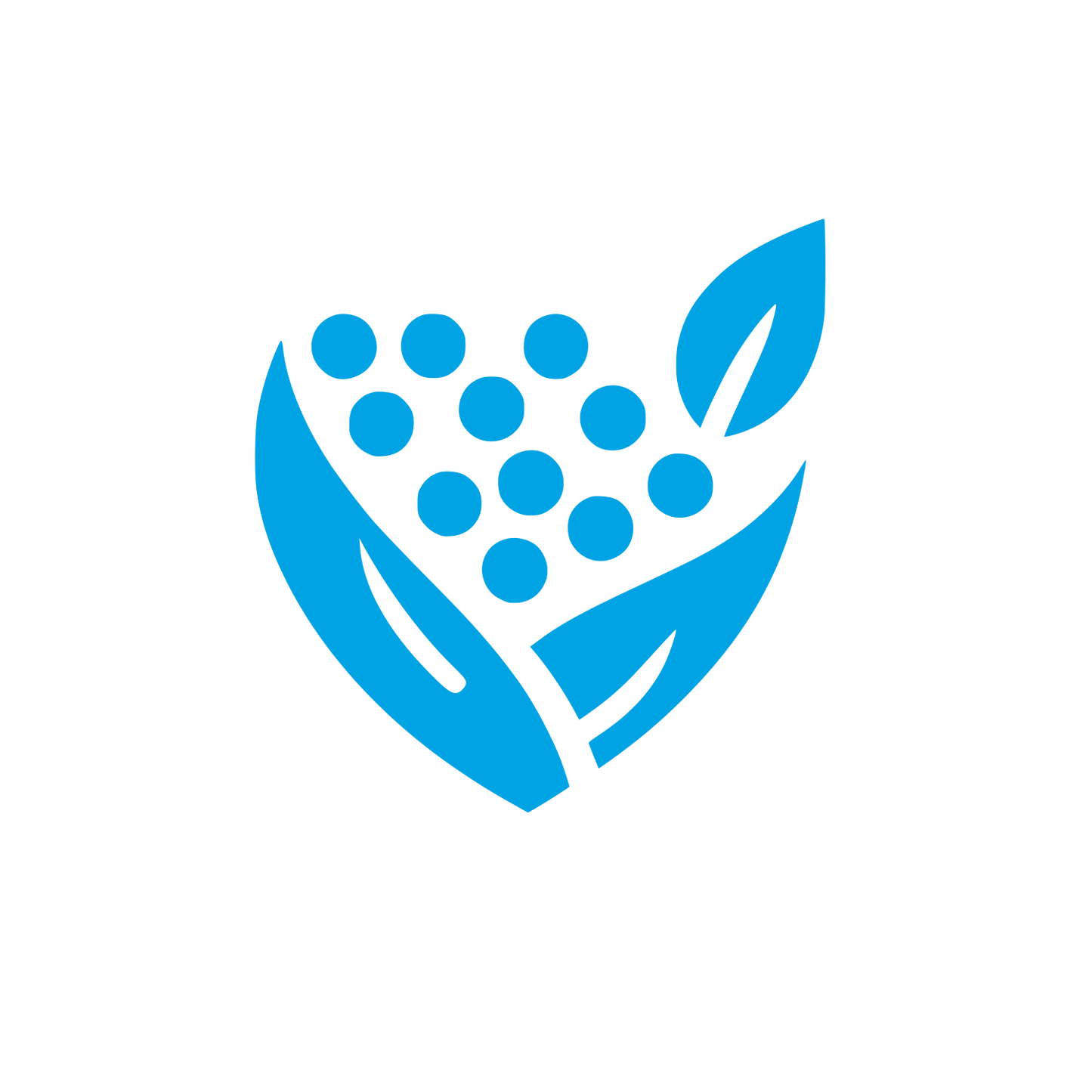 Leaf and Grapes Logo #00a3e4