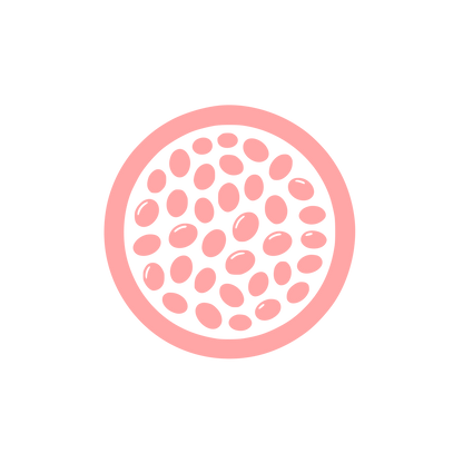 Seed Pattern Logo #ffa6a6