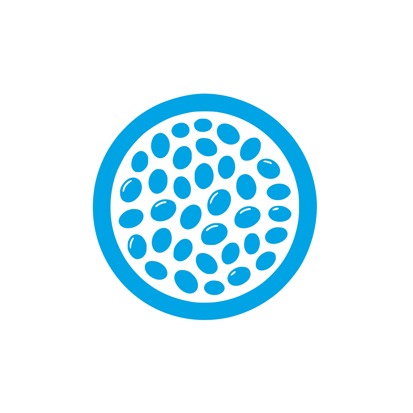 Seed Pattern Logo #00a3e4