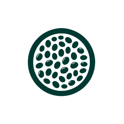 Seed Pattern Logo #003932