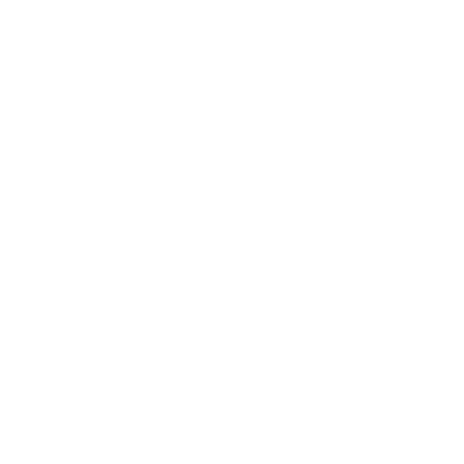 Global Network Logo #ffffff