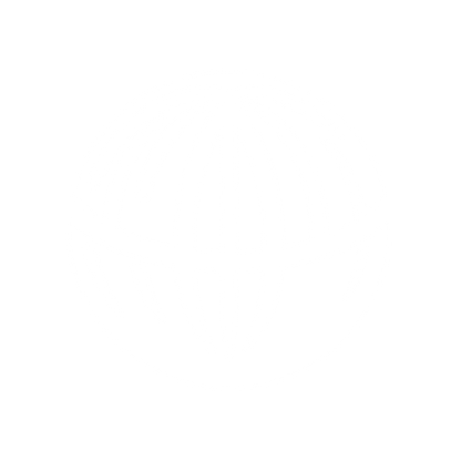 Global Network Logo #ffffff