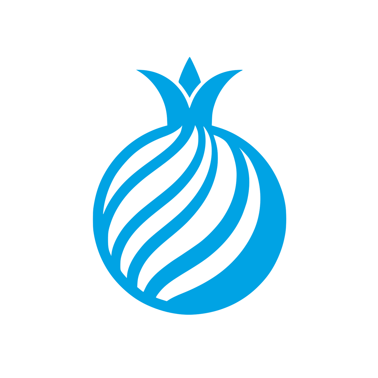Ornamental Logo Design #00a3e4