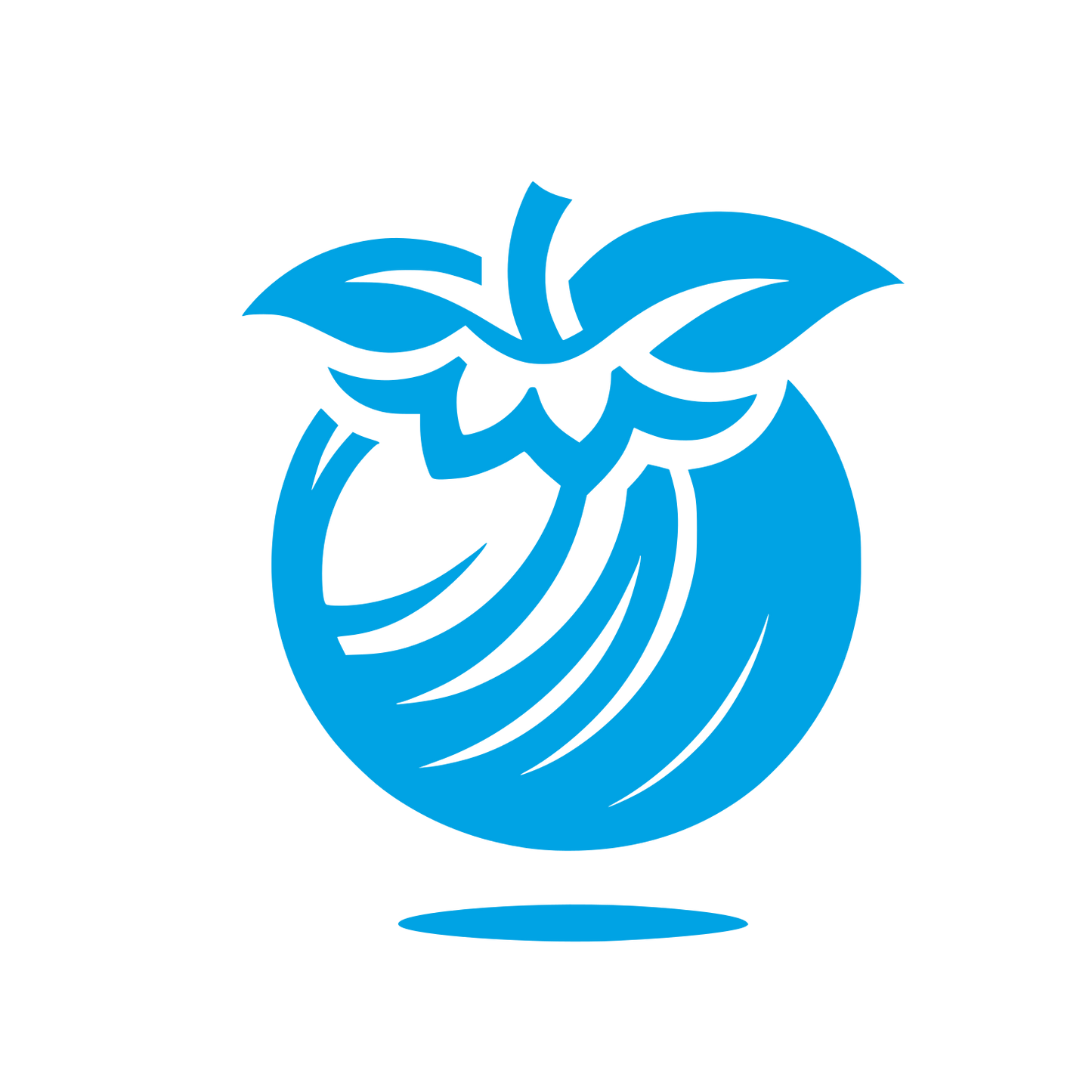 Tomato Logo Design #00a3e4