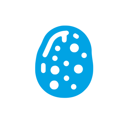 Potato Geometric Logo #00a3e4