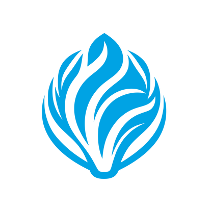 Radicchio Vegetable Logo #00a3e4