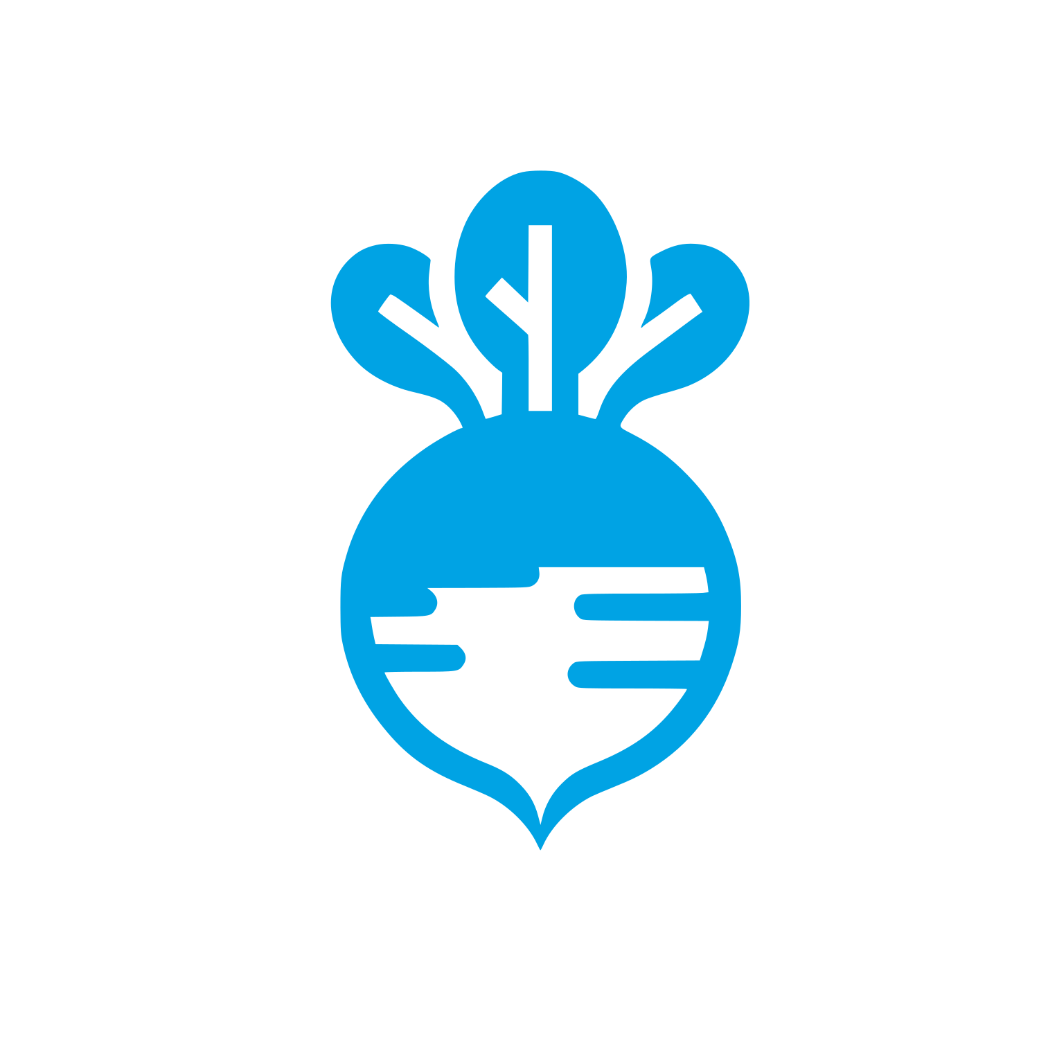 Beetroot Logo Design #00a3e4