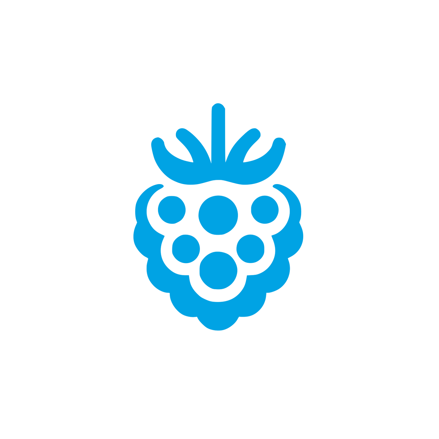 Logo of Raspberry Design #00a3e4