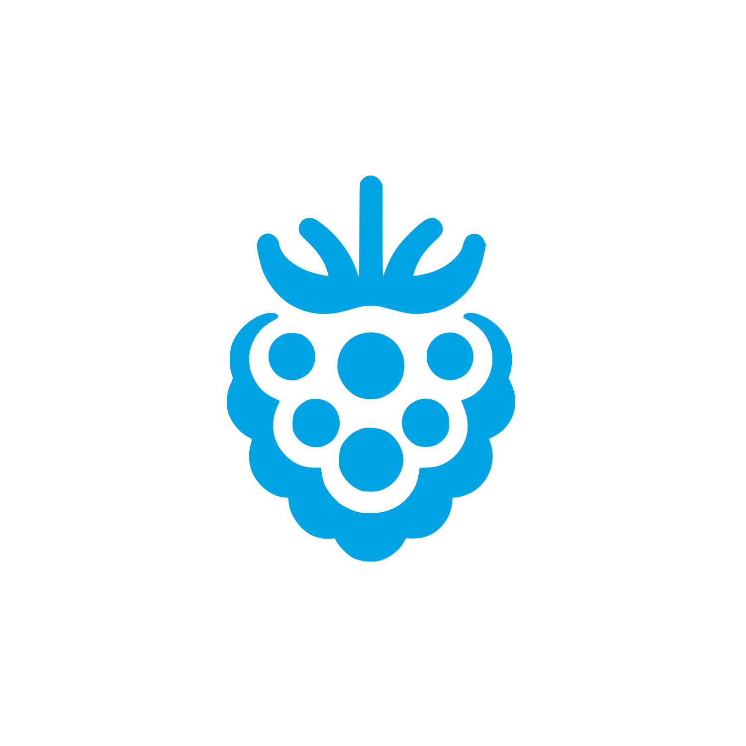 Logo of Raspberry Design #00a3e4