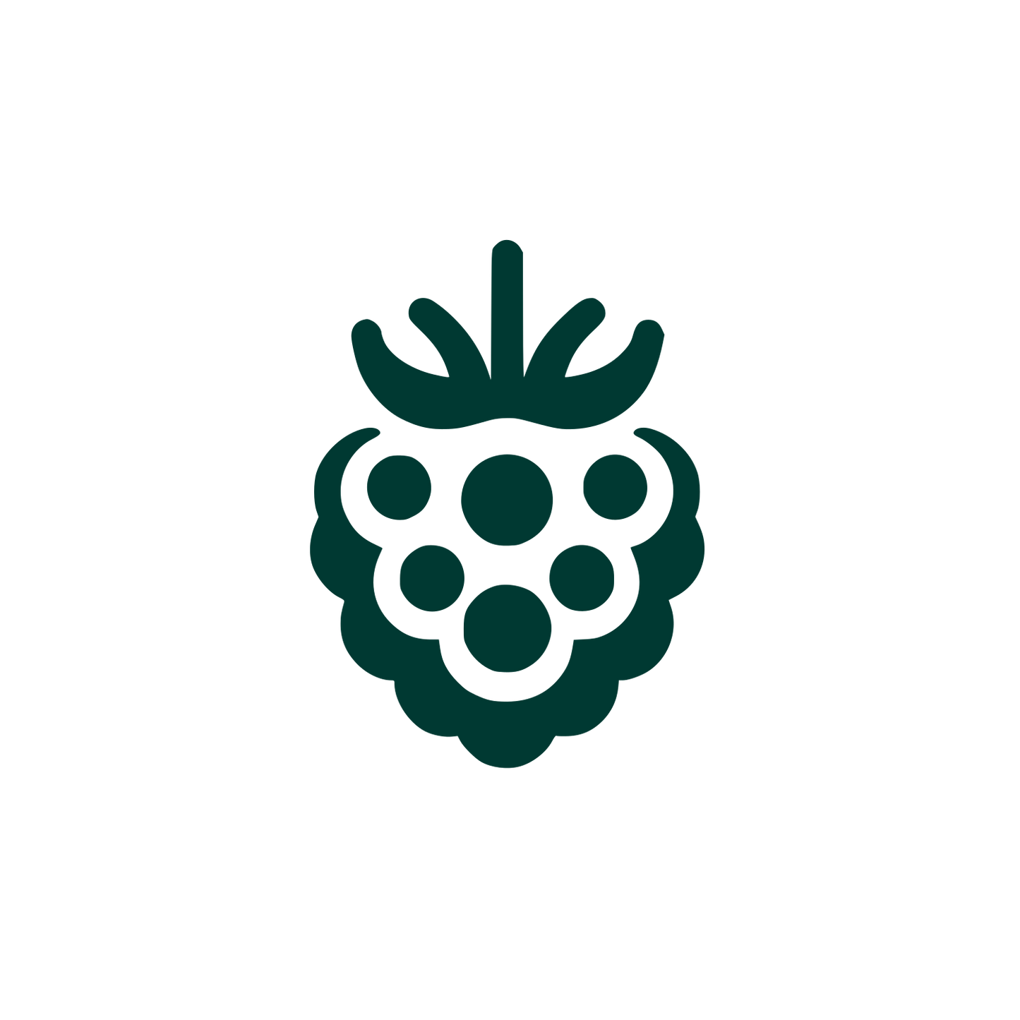 Logo of Raspberry Design #003932