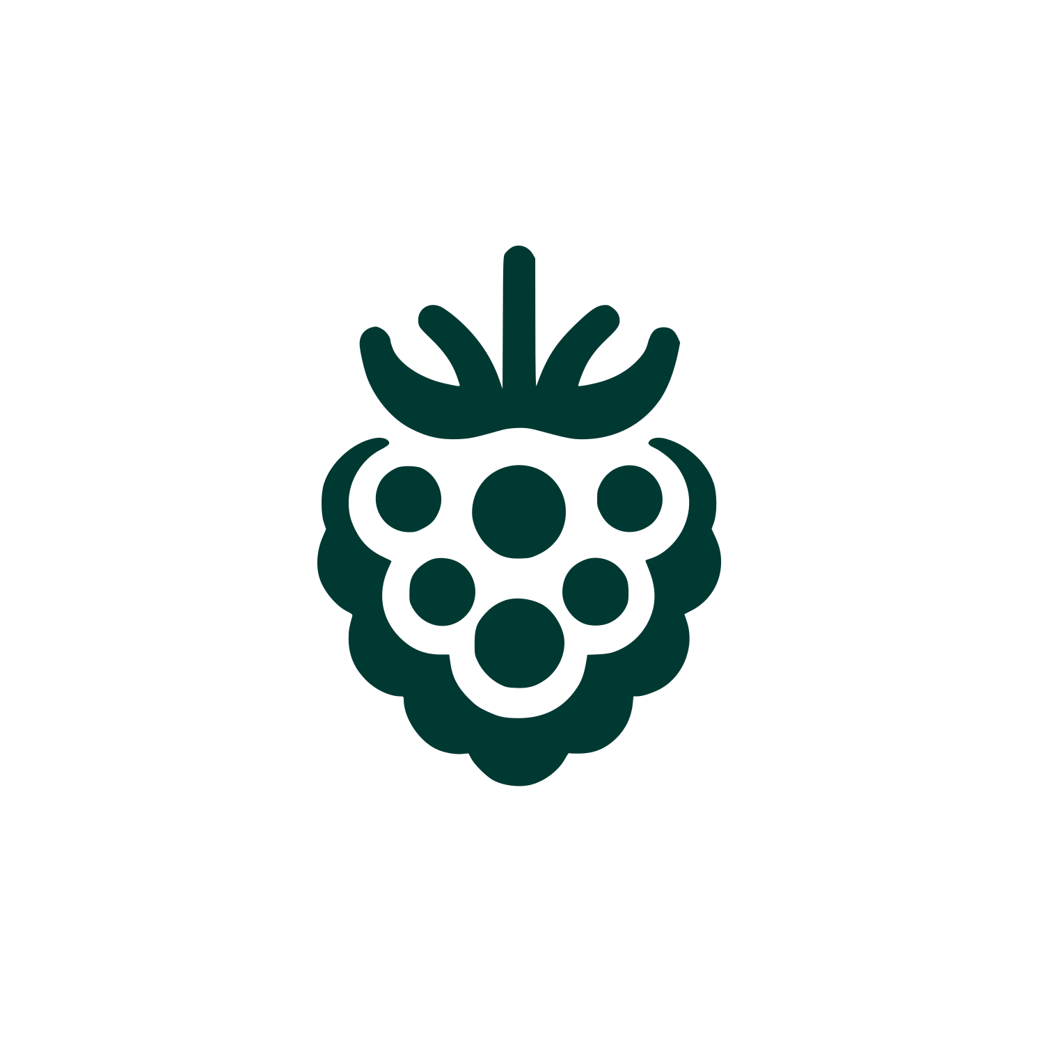 Logo of Raspberry Design #003932