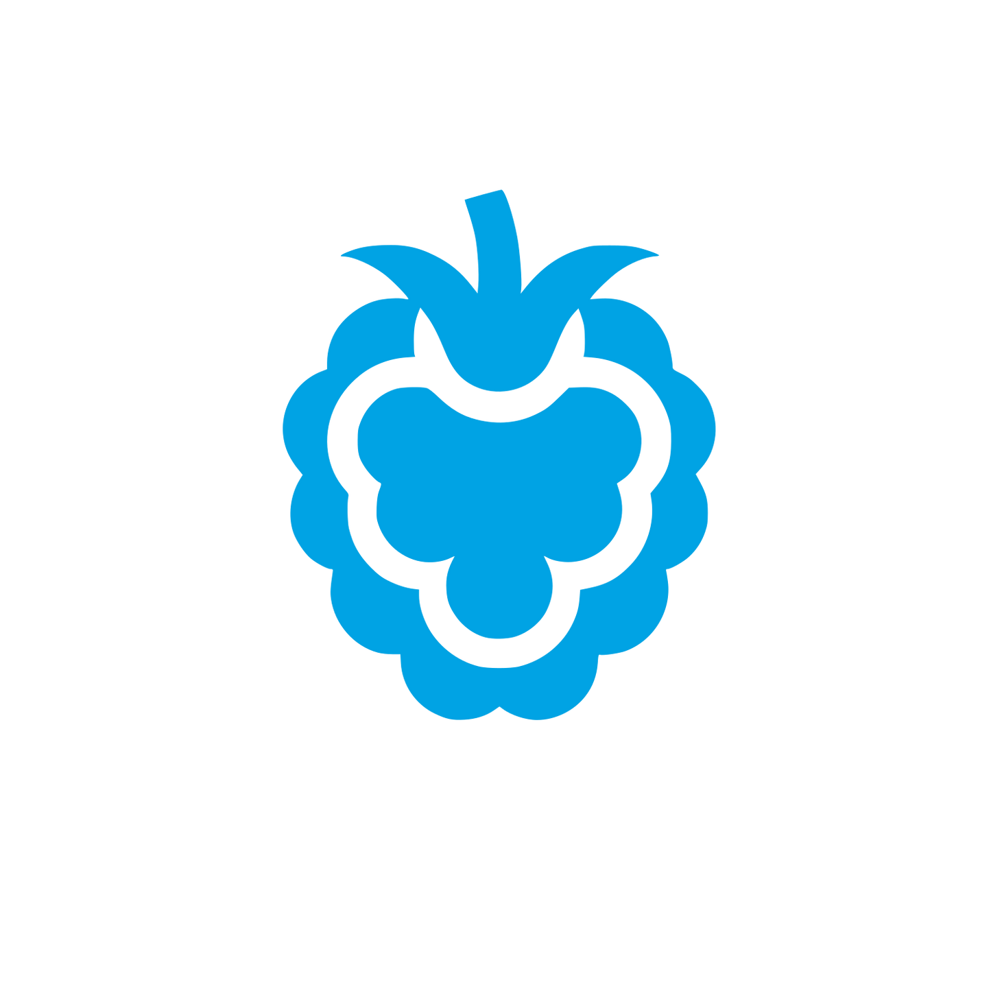Logo of Raspberry Fruit #00a3e4