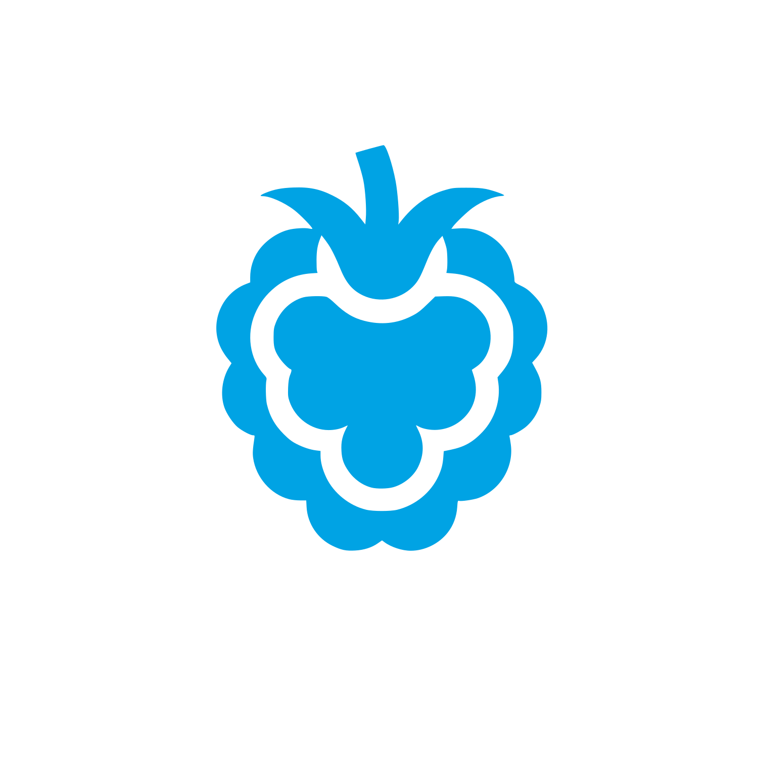Logo of Raspberry Fruit #00a3e4