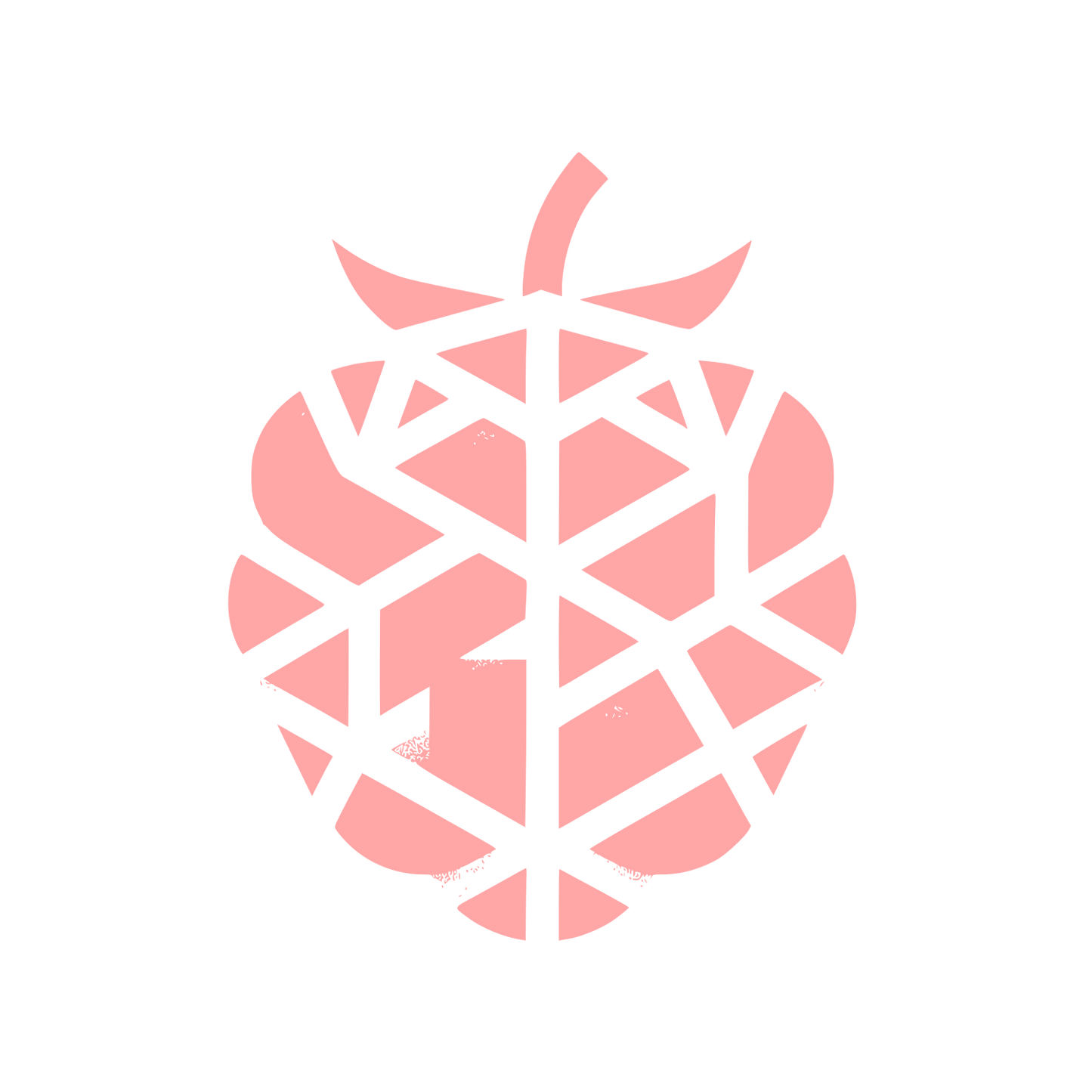 Raspberry Berry Logo #ffa6a6