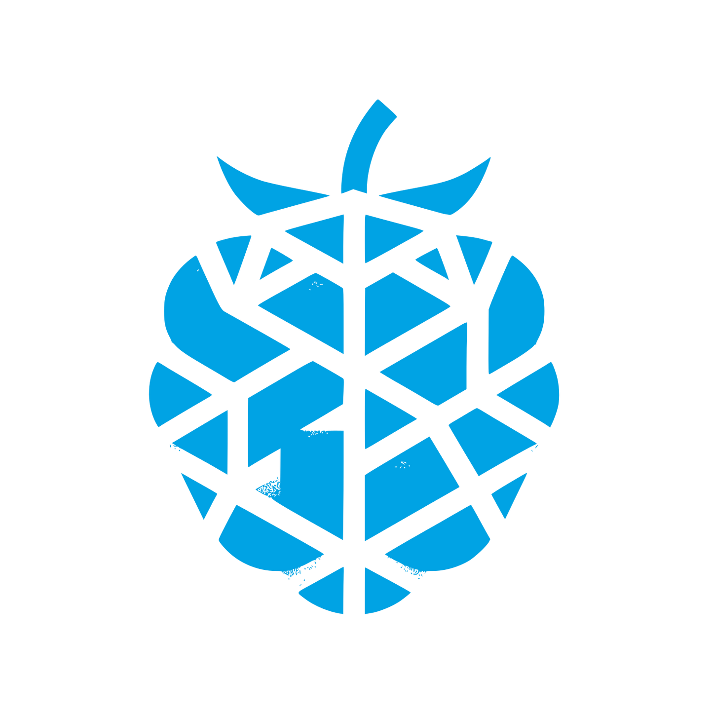 Raspberry Berry Logo #00a3e4