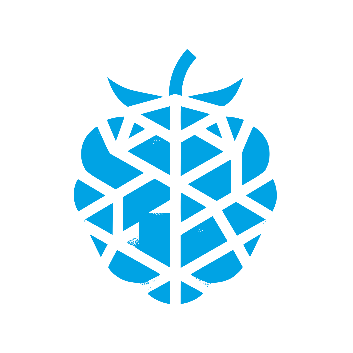 Raspberry Berry Logo #00a3e4