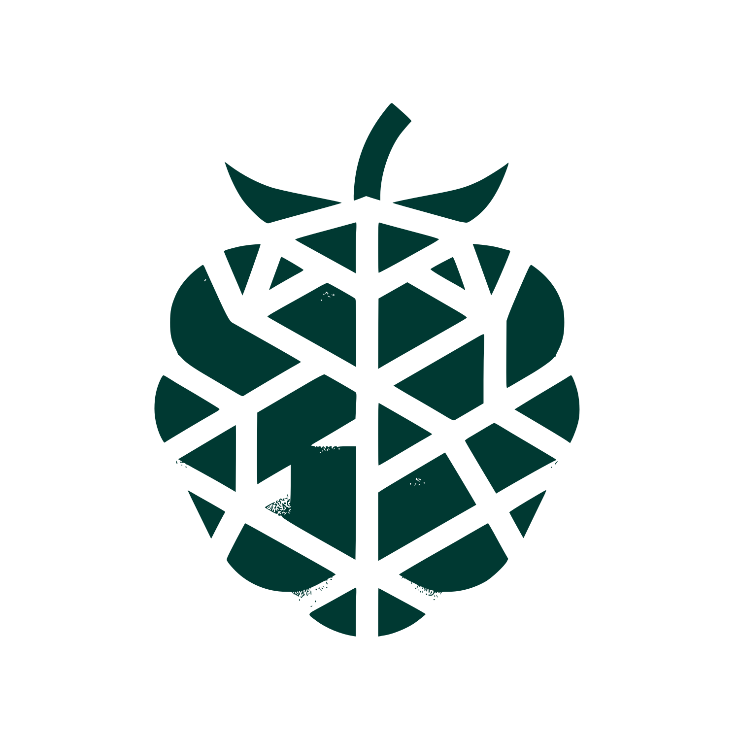 Raspberry Berry Logo #003932