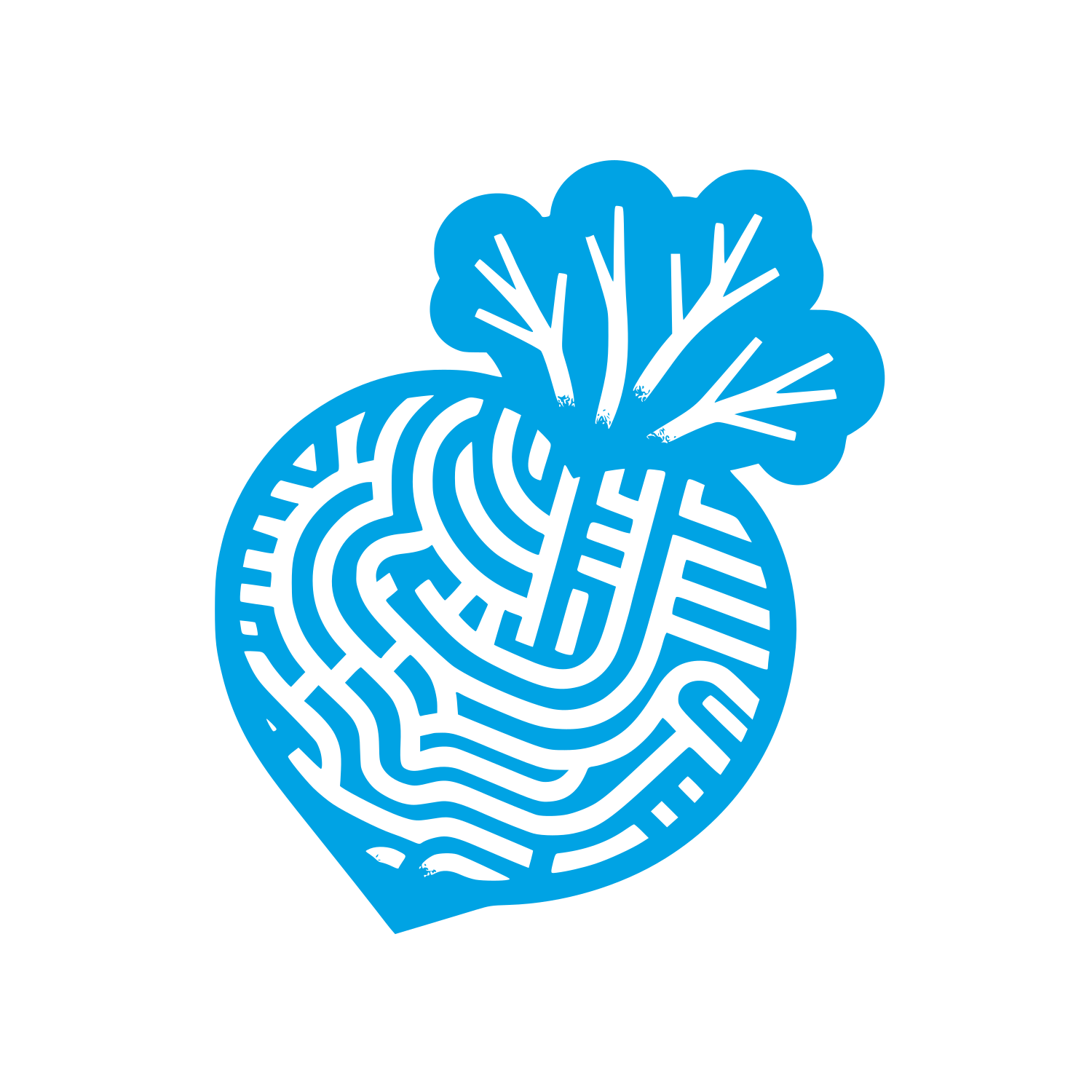 Logo with Beet Design #00a3e4