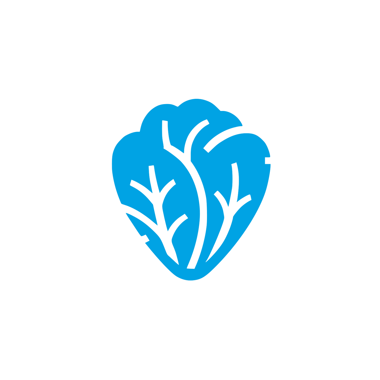 Logo for Leaf Design #00a3e4