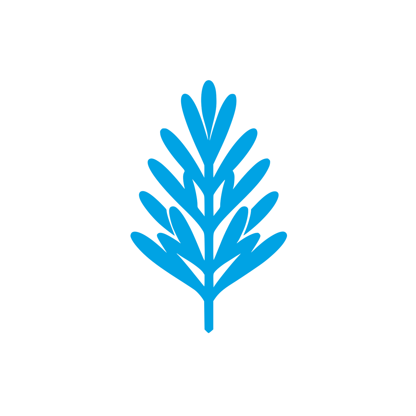 Logo Leaf Design #00a3e4