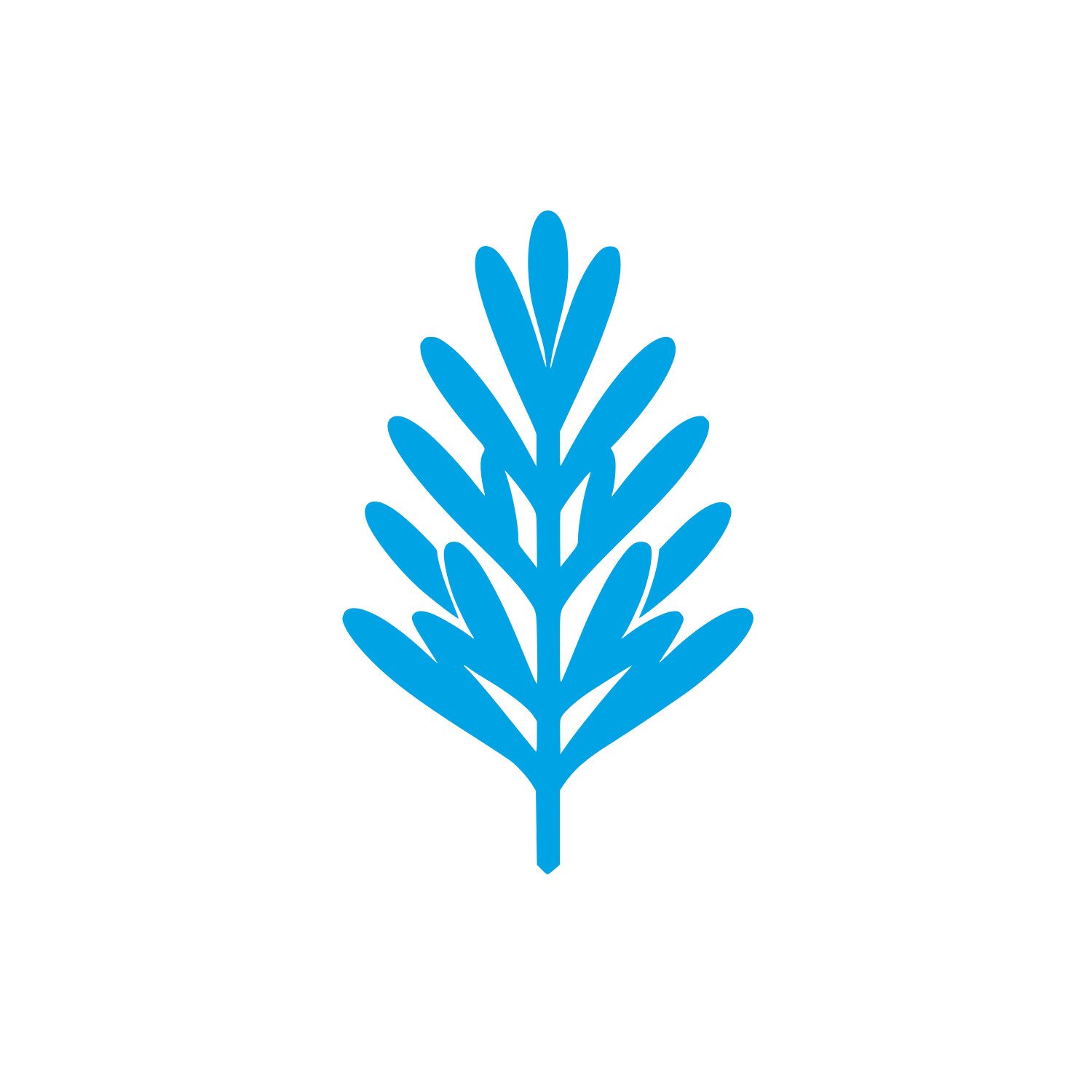 Logo Leaf Design #00a3e4