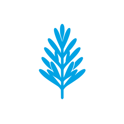 Logo Leaf Design #00a3e4