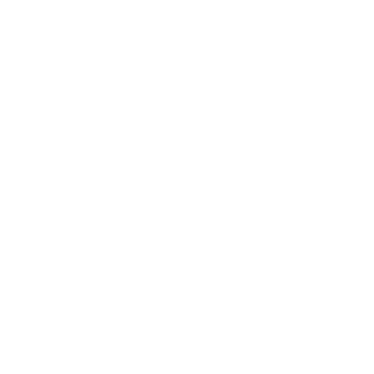 Logo Leaf Design #ffffff