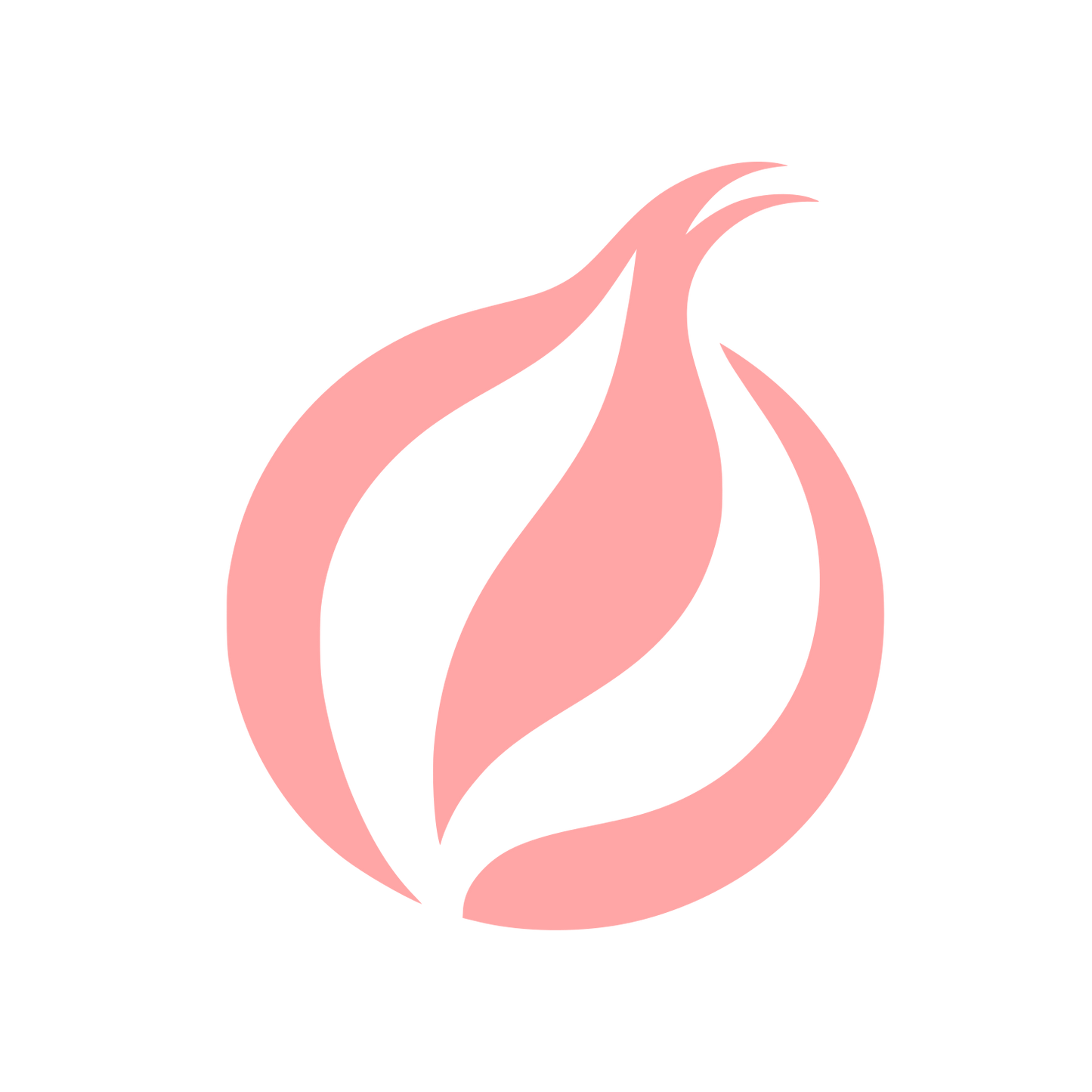Logo for Privacy Tool #ffa6a6