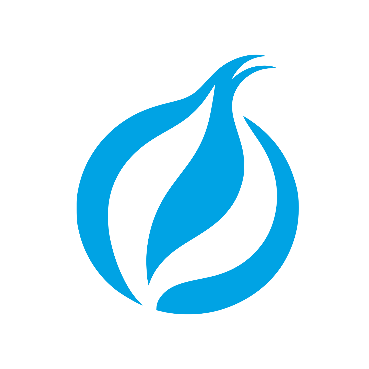 Logo for Privacy Tool #00a3e4
