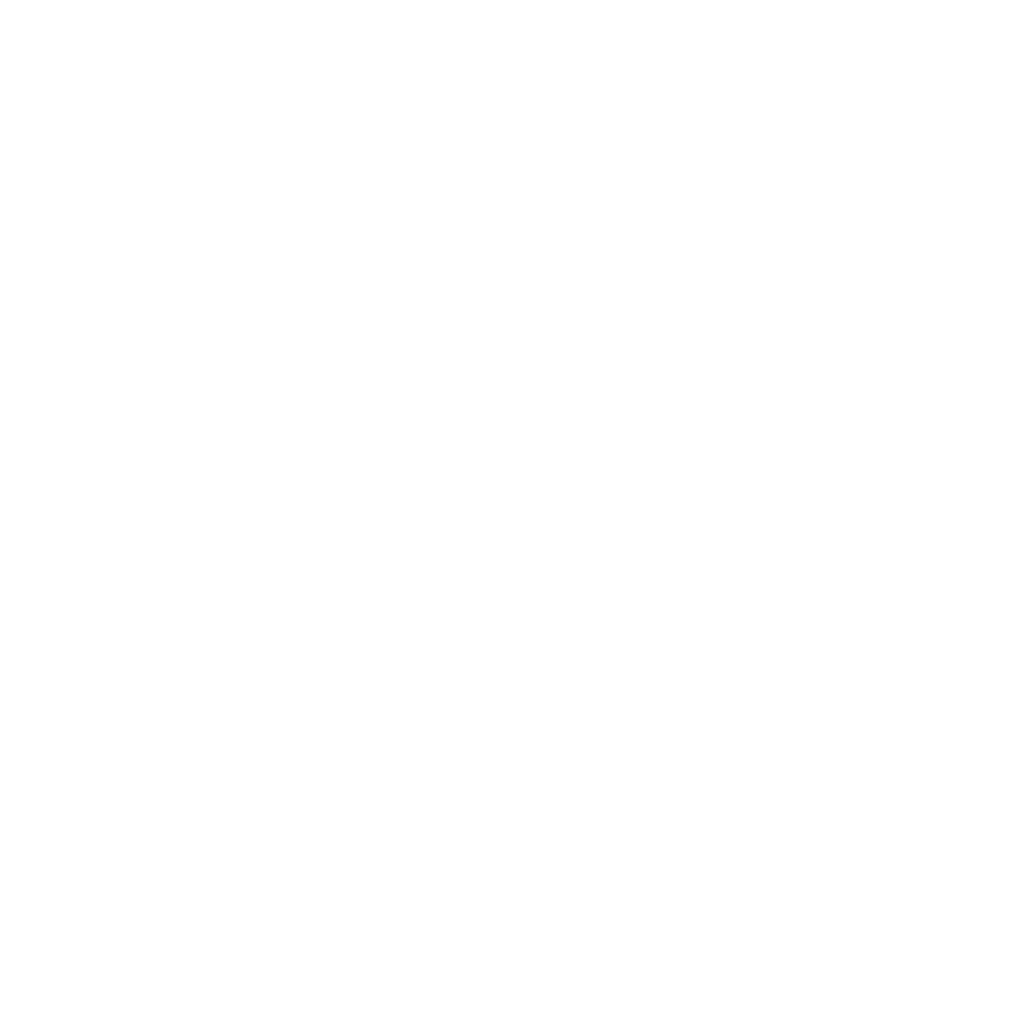 Logo for Privacy Tool #ffffff