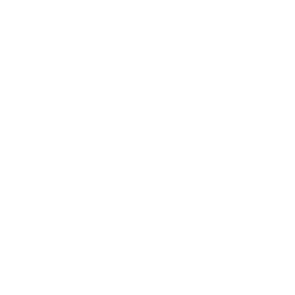 Logo for Privacy Tool #ffffff