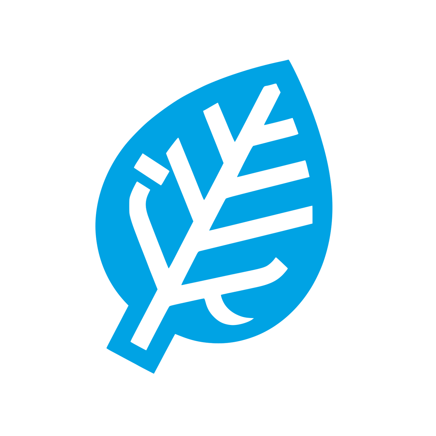 Leaf Outline Logo #00a3e4