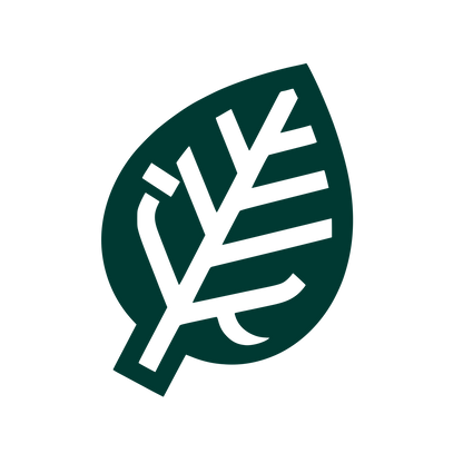 Leaf Outline Logo #003932