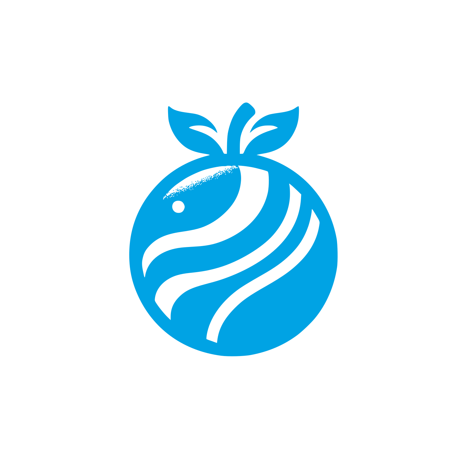 Tomatillo Bold Logo #00a3e4