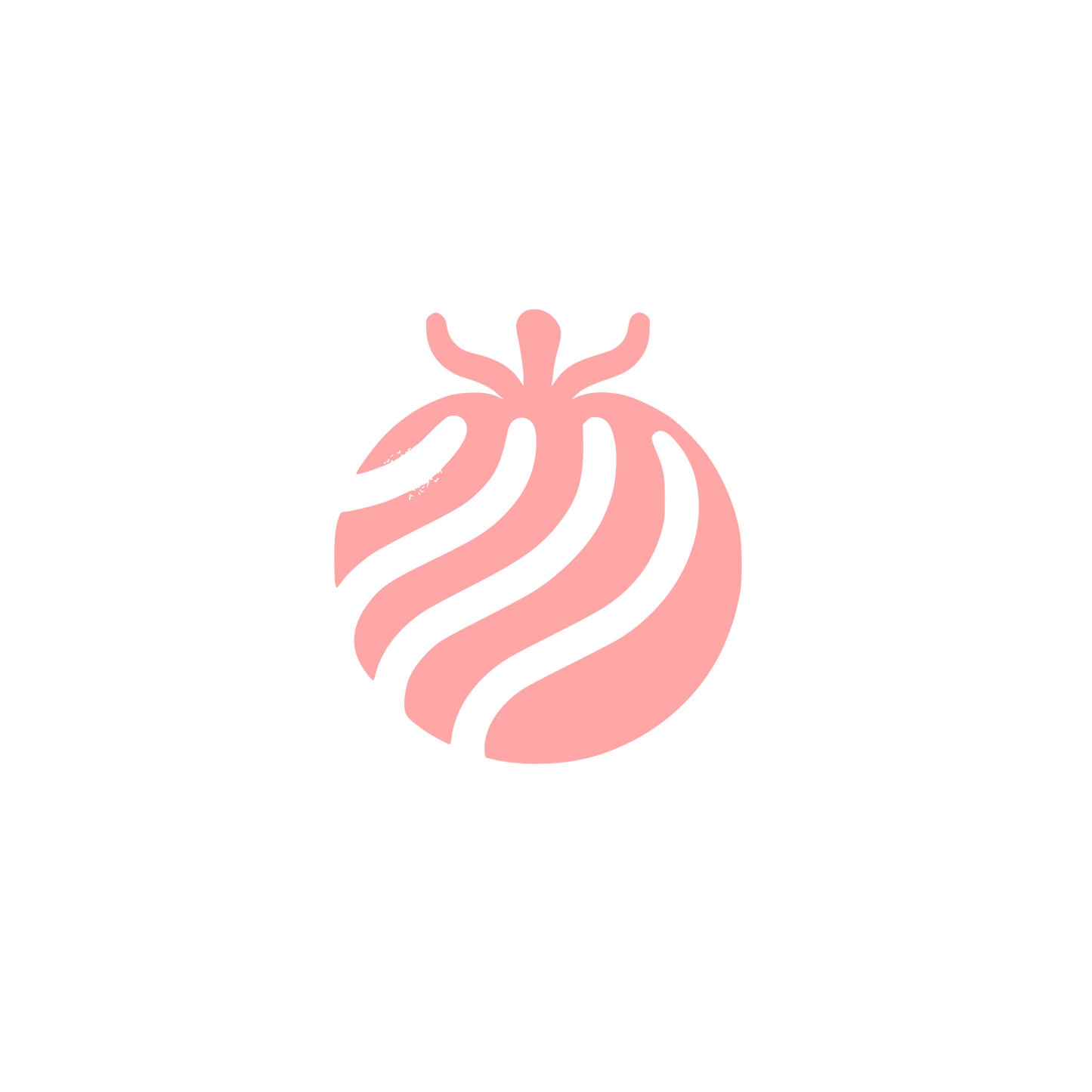 Black Tomato Logo #ffa6a6