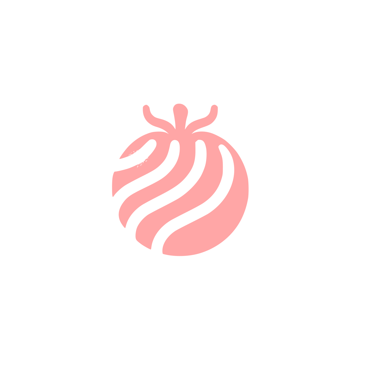 Black Tomato Logo #ffa6a6