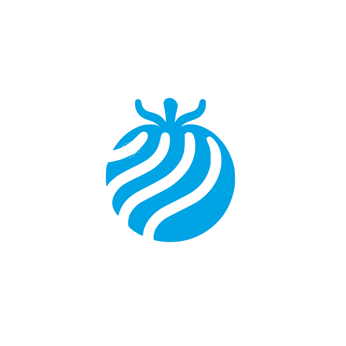 Black Tomato Logo #00a3e4