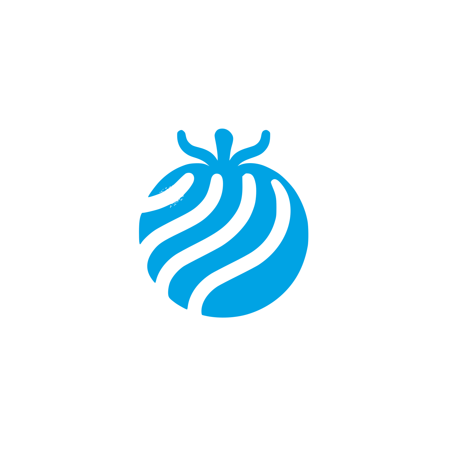 Black Tomato Logo #00a3e4