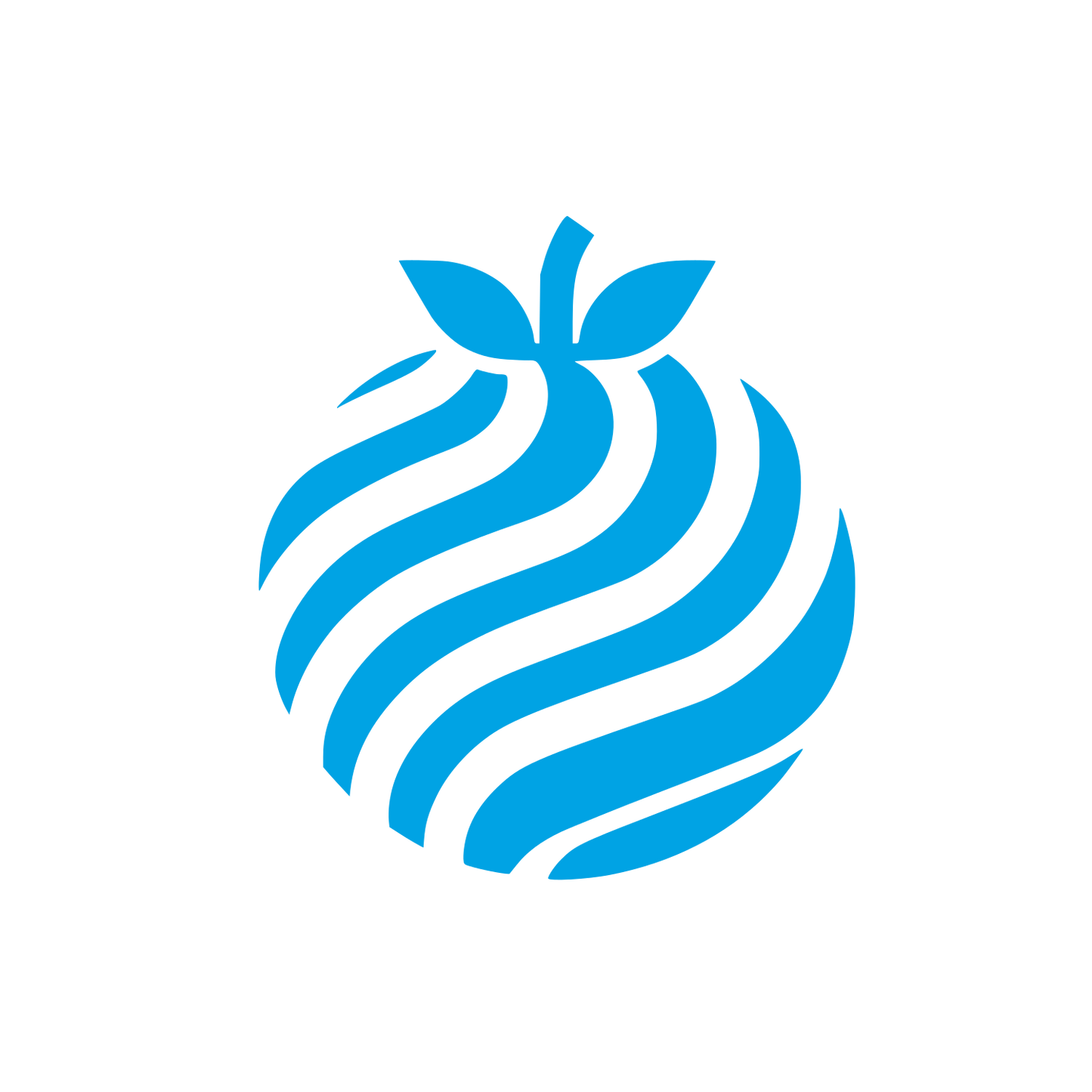 Tomato Logo #00a3e4