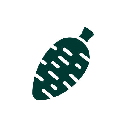 Logo with Leaf Shape #003932