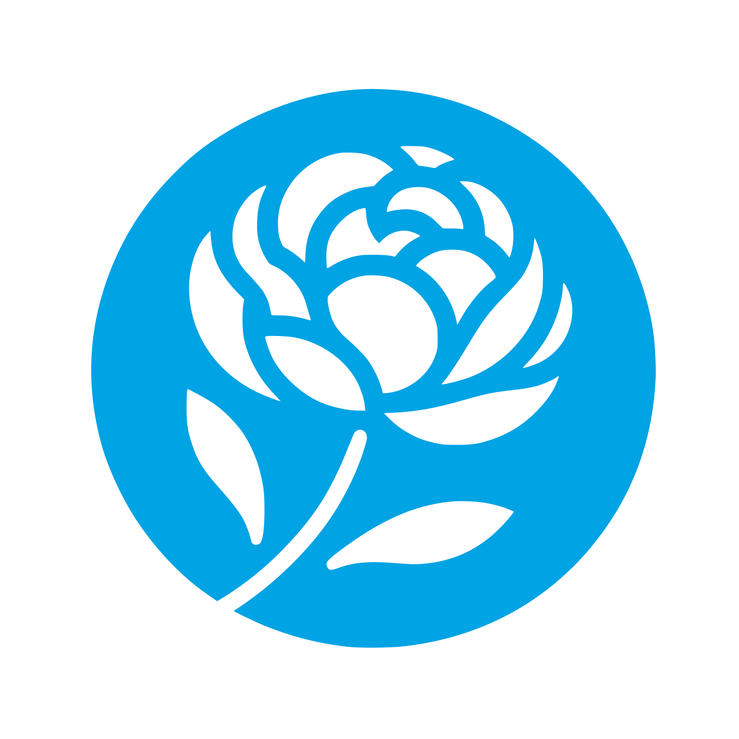 Rose Flower Logo #00a3e4