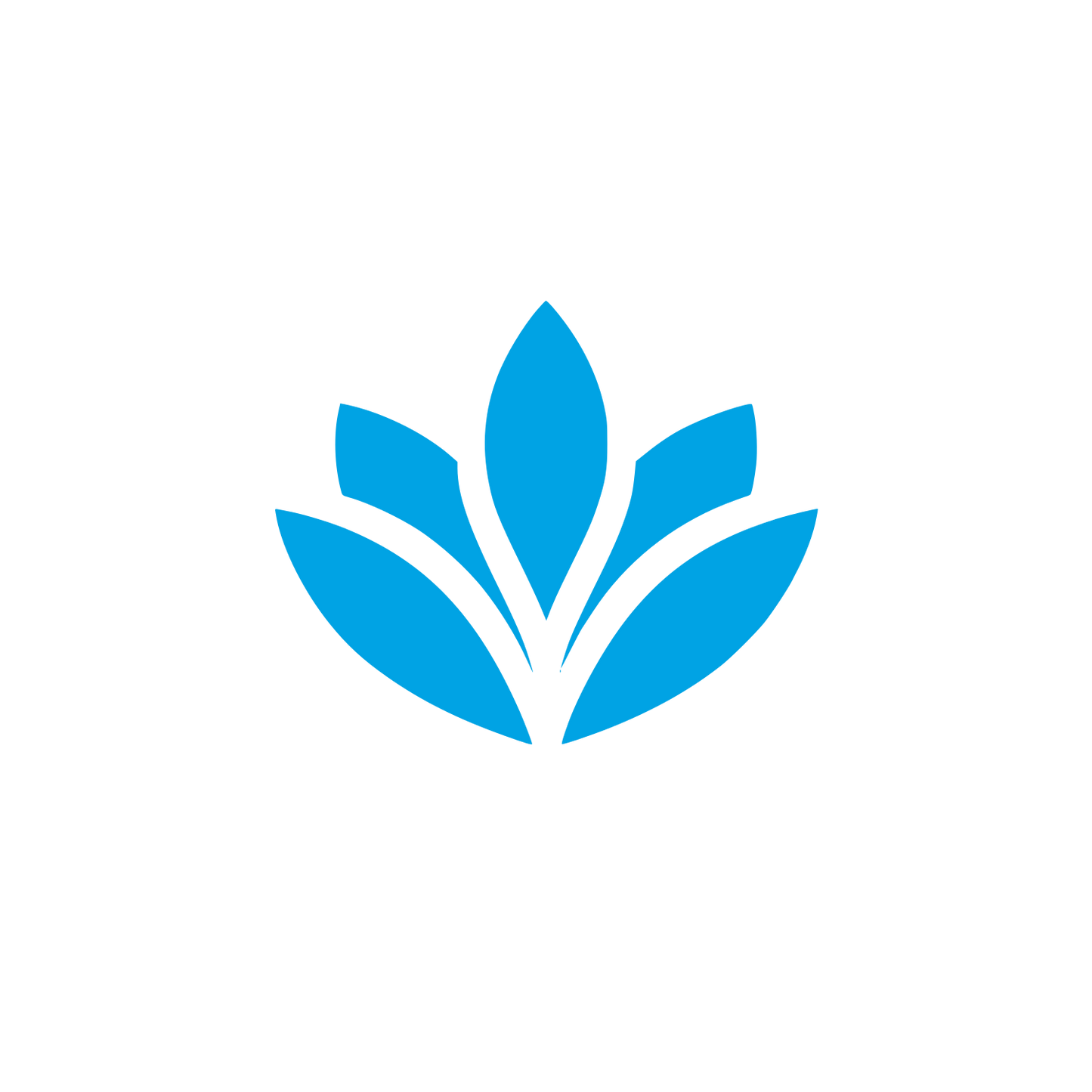 Magnolia Leaf Logo #00a3e4