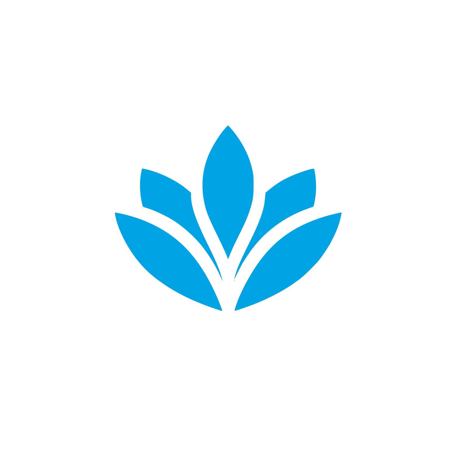 Magnolia Leaf Logo #00a3e4
