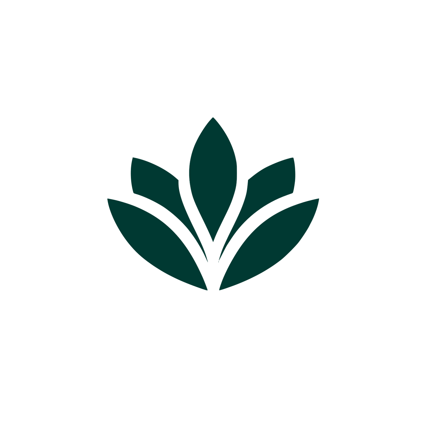 Magnolia Leaf Logo #003932