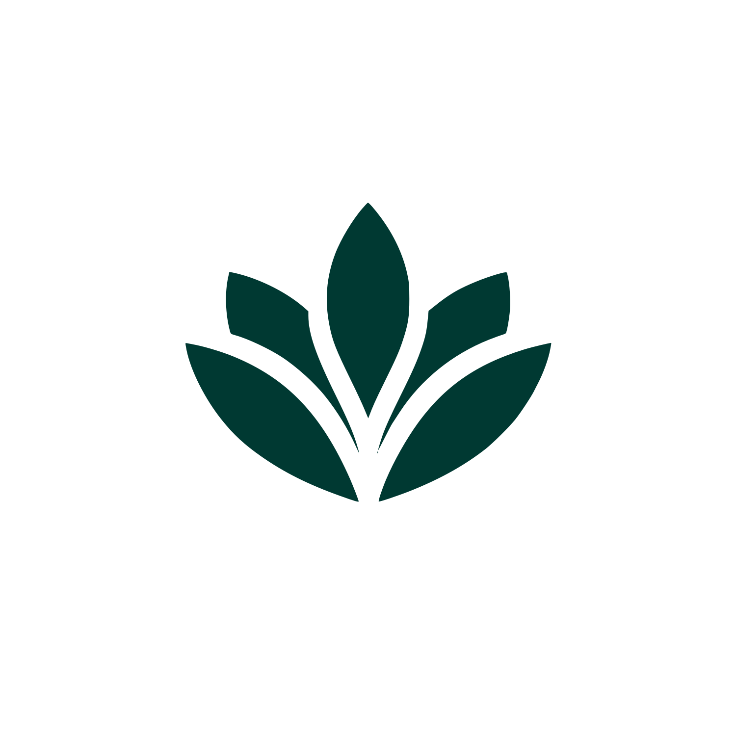 Magnolia Leaf Logo #003932